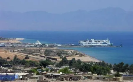 Moşekek li bajarekî din ê Misirê ket