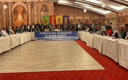 172 sazî û partiyan ji bo azadiya Rêber Abdullah Ocalan deklarasyonek eşkere kir