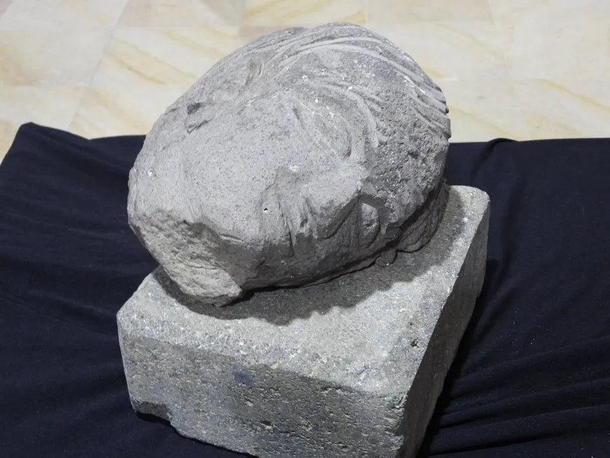 Li Reqayê şevbuhêrk û pêşangeh