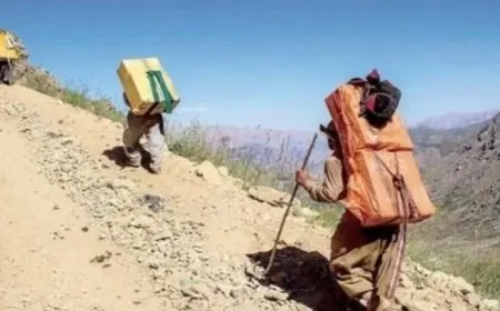 Hêzên Îranê 5 kolber birîndar kirin û 10 jî girtin