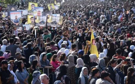 Ji bo şehîdên cêwî Ferhad û Şiblî stranek