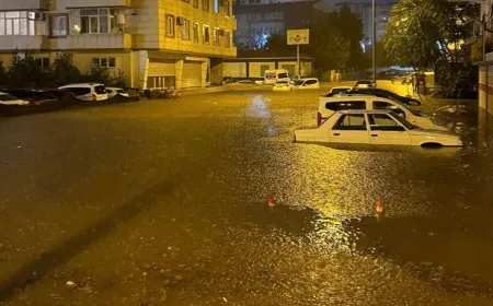 Ji ber baran û bahozê li Bakur û Tirkiyeyê 2 kes mirin