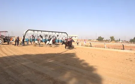 Pêşbirka Hespan a Bakur û Rojhilatê Sûriyeyê li dar ket