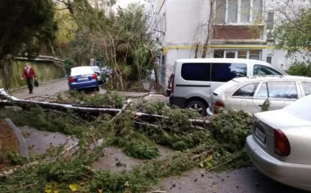 Li Rûsyayê ji ber Bahoza sedsalê: Elektrîk qut bû