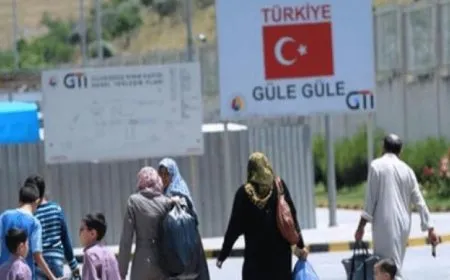 Desthilatên Tirkiyeyê bi darê zorê 250 penaberên Sûriyeyê derxistin