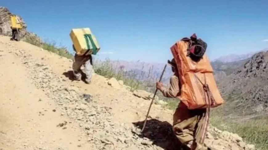 Hêzên Îranê 5 kolber birîndar kirin û 10 jî girtin