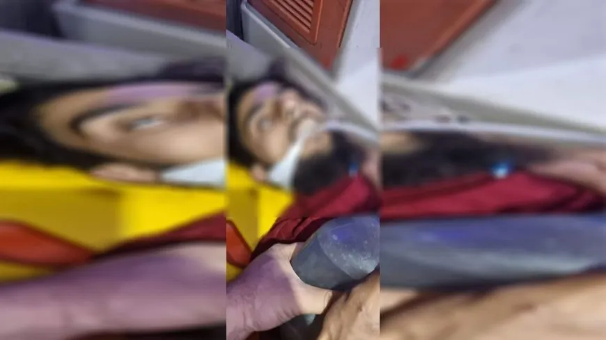 Çeteyan ciwanek qetil kir