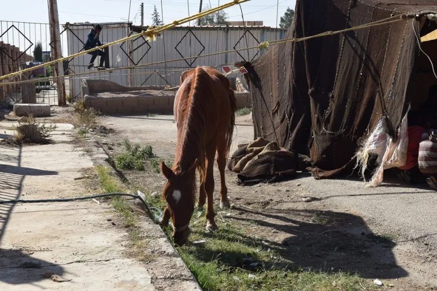 Li Erîşa çalakiyeke çandî hat lidarixistin
