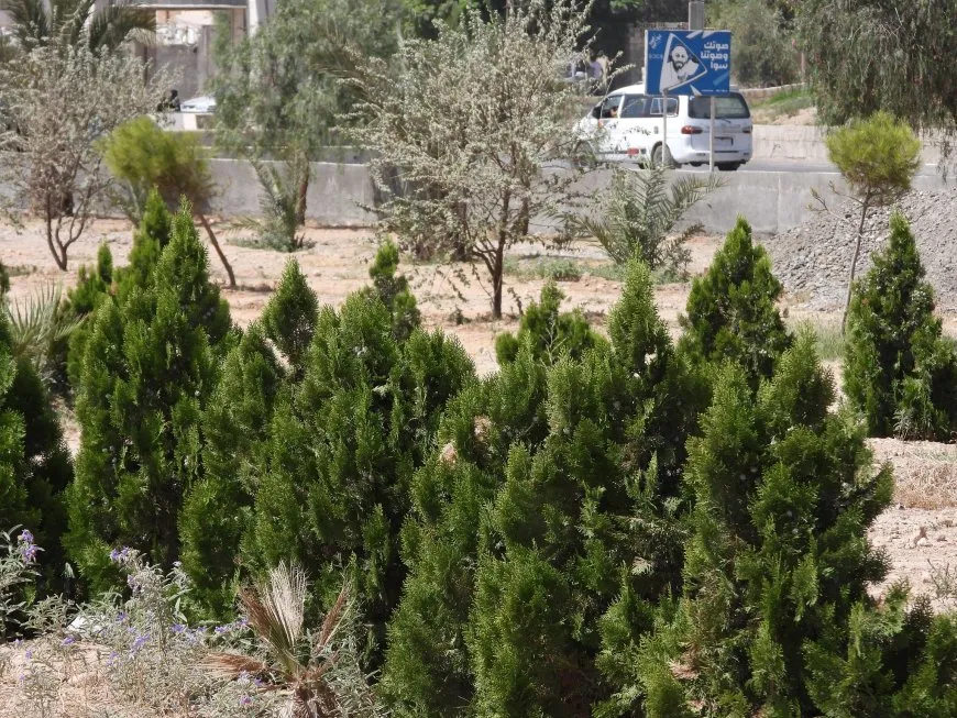 Di demeke nêzîk de parka navendî ya Tebqayê vedibe