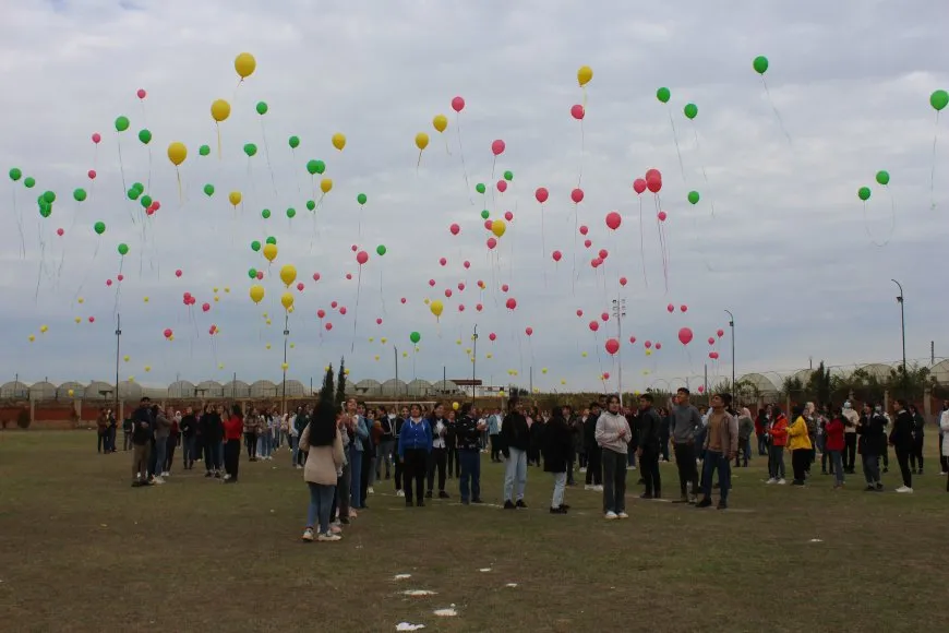 Ji bo azadiya Rêber Abdullah Ocalan çalakiyek hunerî