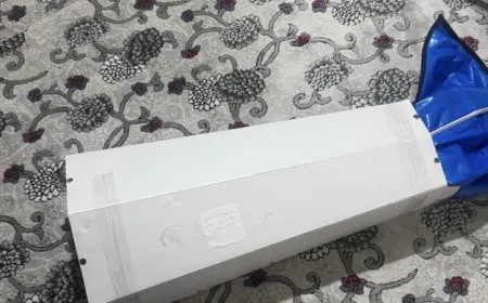Cenazeyê Axîn Seydo piştî 5 salan di qartonekê de sipartin axê