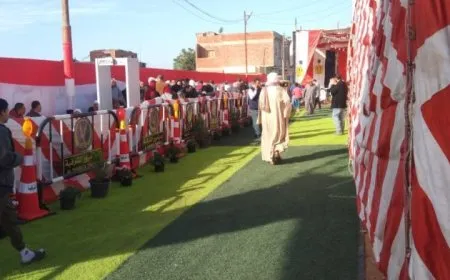 Ajansa me hilbijartinên serokkomariya Misirê dişopîne