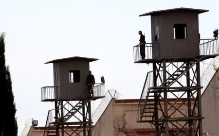 Çalakiyên grevên birçîbûnê mehek li dû xwe hişt