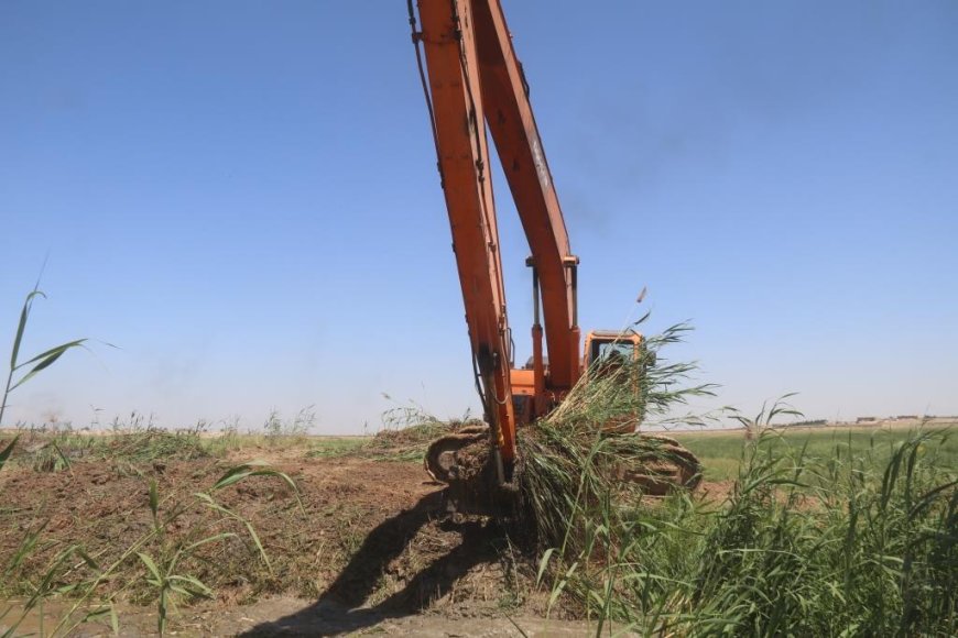 Nivîsgeha Avdanê ya Reqayê li hember şorbûna axê tedbîran digire