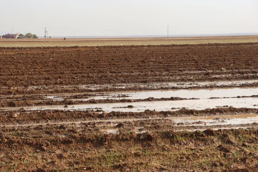Li Bakur û Rojhilatê Sûriyeyê derfeta barîna baranê heye