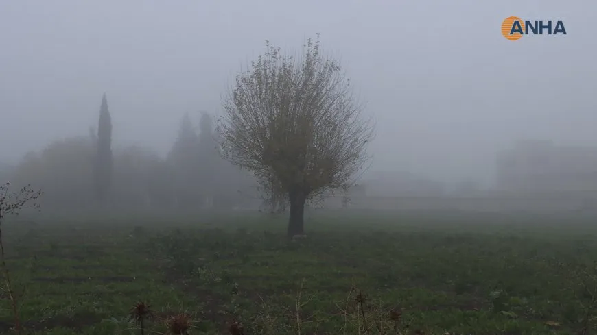 Li Kantona Cizîrê mij rabûye