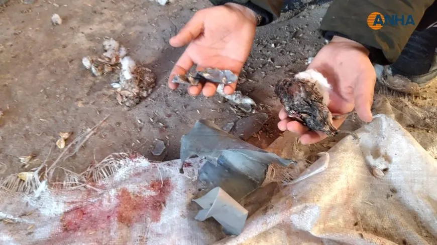 Li qamişlo 2 welatî birîndar bûn
