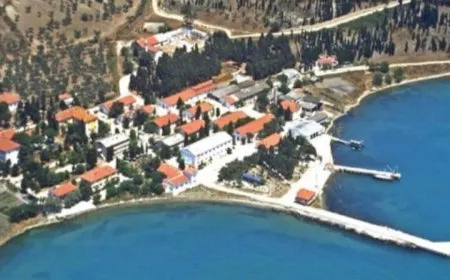 Ji bo biçin Îmraliyê her hefteyê daxwazname dinivîsin