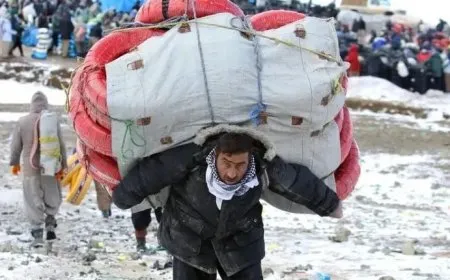 Di salekê de 40 kolber hatin kuştin
