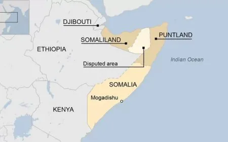 Komkara Erebî û Washington li hember lihevkirina Etiyopya û Somalîland helwesta nîşan da