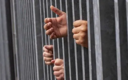 Çalakiya gireva birçîbûnê di roja 39’an de ye