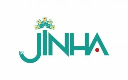 NûJINHA bû 4 salî
