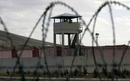 Çalakiya ‘Ji Abdullah Ocalan re azadî’ di roja 50’yi de ye