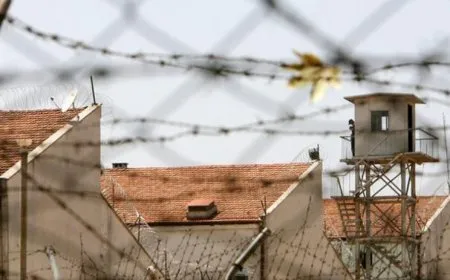 Çalakiya greva birçîbûnê di roja 51'ê de didome