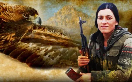 Gerîla TV dîmenê Operasyona Şoreşgerî ya Şehîd Melsa Mûş weşand