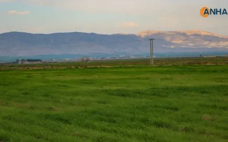 wêneyên pêvajoya qesîl a genim