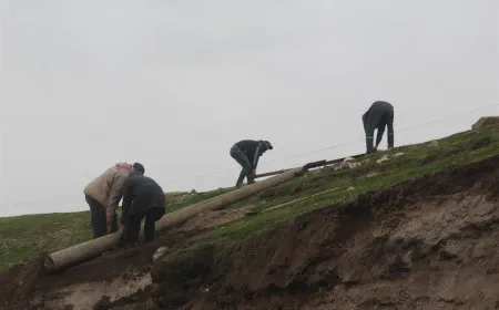 Xebatên gihandina kehrebeyê ji bo saziyên xizmetguzariyê yên Holê