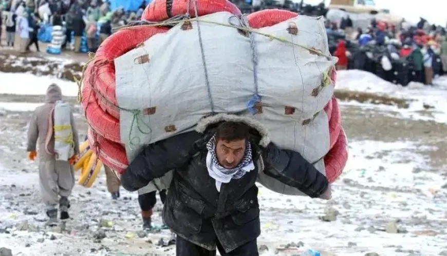 Di salekê de 40 kolber hatin kuştin