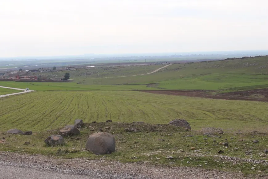 Piştî baranê kurman barê cotkaran giran kir