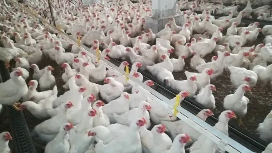 Hikumeta Şamê debara welatiyan zehmet dike