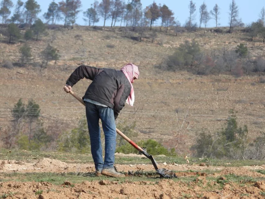 Li Tebqayê pêngava çandina hezar şitlan