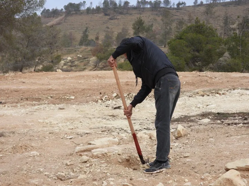 Li Tebqayê pêngava çandina hezar şitlan