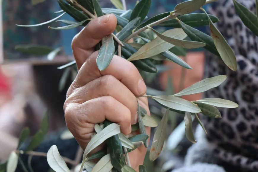 ˊHeta Efrîn û herêmên dagirkirî rizgar dibin em ê çalakiyên xwe bilind bikinˊ