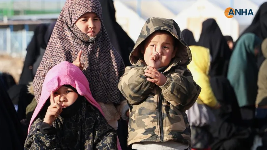 Li kampa Holê gelek amûrên leşkerî, xendeq û jêrzemîn hatin dîtin