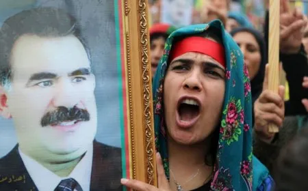 Ji aktîvîstên fransî deklarasyona 'Li Kurdistanê çareserî siyasî ye'