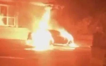 Jinên Tolhildêr li Stenbolê wesayitên faşîstan şewitandin