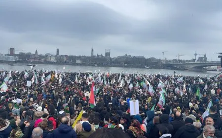 Meşa Mezin a li Kolnê dest pê kir