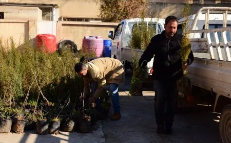 Li dibistanên Tirbespiyê çandina daran