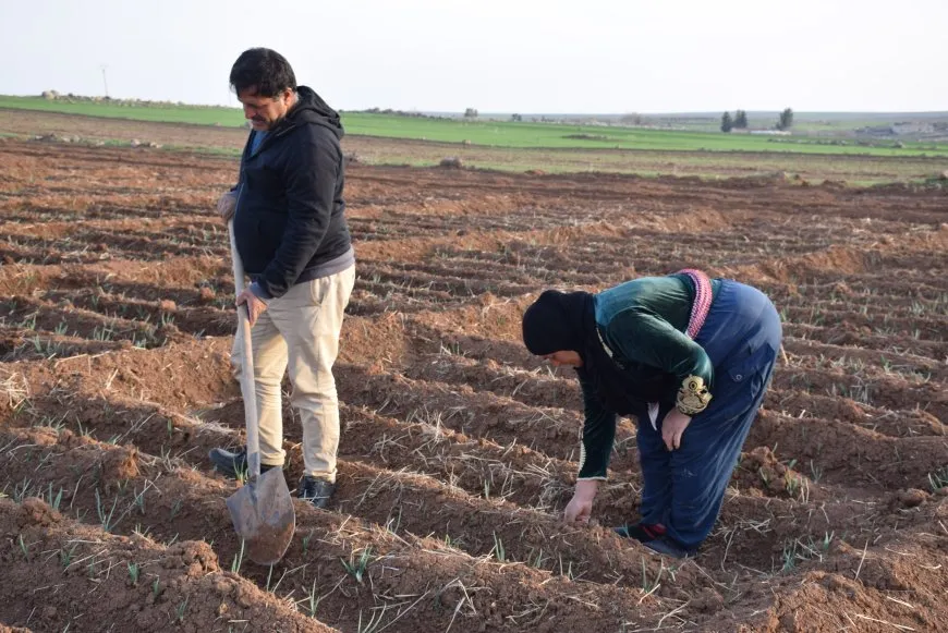 20 sal cotkariyê dike: Firyal Cembelî