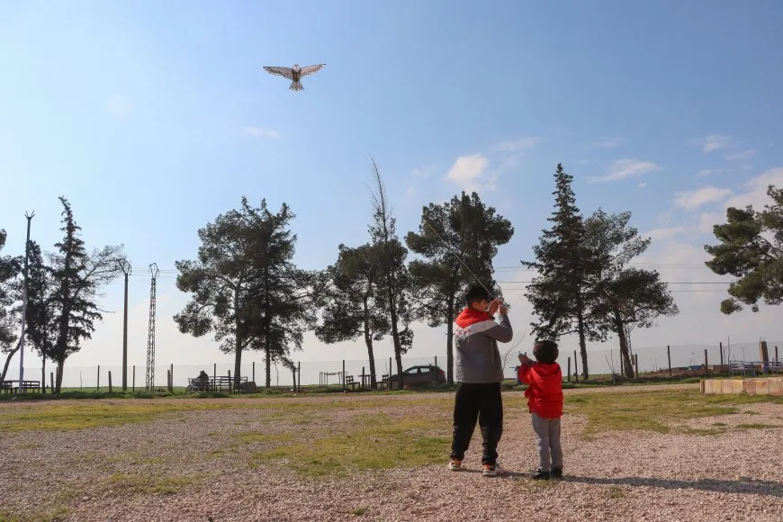 Li Qamişlo xelk li park û qadan e