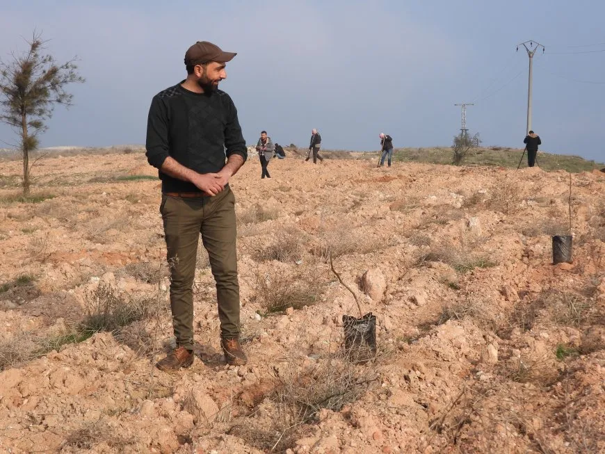 Li Tebqayê 100 şitil hatin çandin