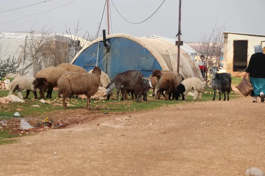 Koçberên li kampa Şehbayê: Heya vegera Efrînê têkoşîn dê bidome