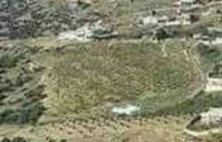 Çeteyên Tirkiyê çiyayên Efrînê kirin çolistan