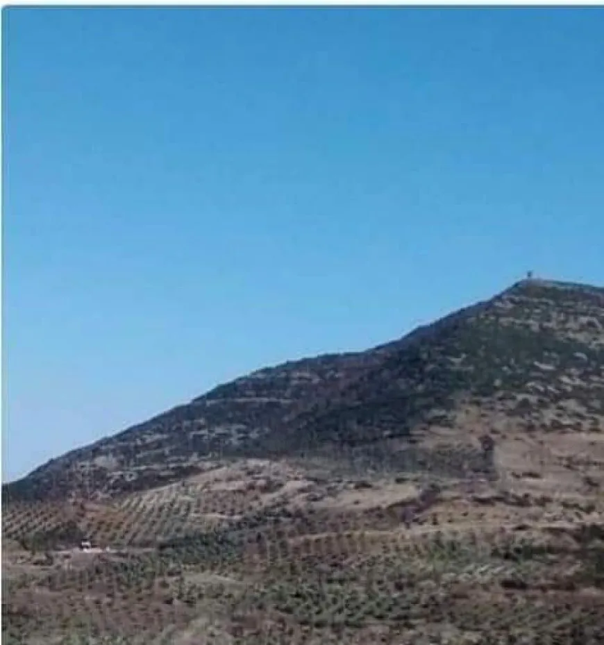 Çeteyên Tirkiyê çiyayên Efrînê kirin çolistan