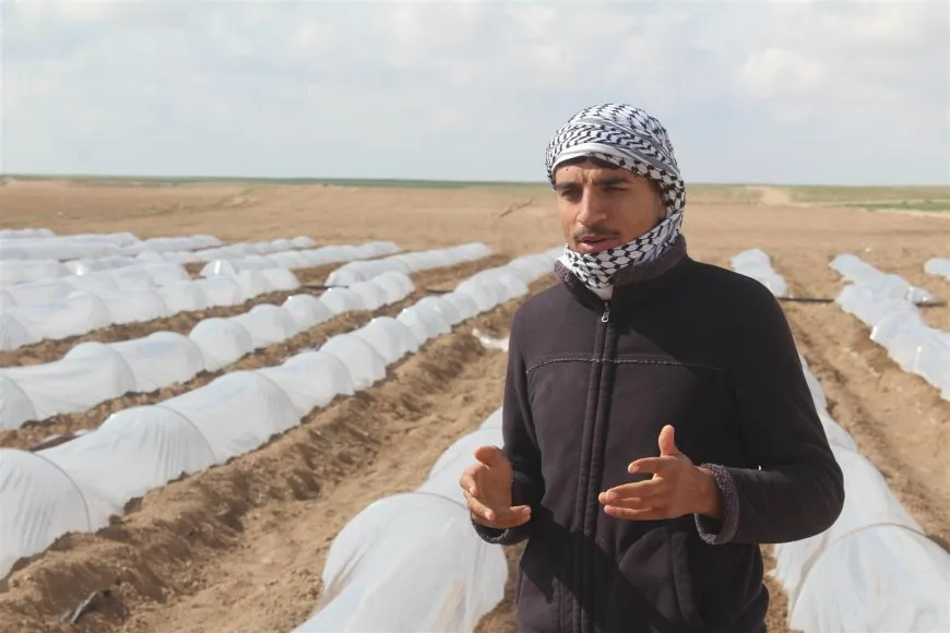 Li Holê çandina sebzeyên havînî dest pê kir