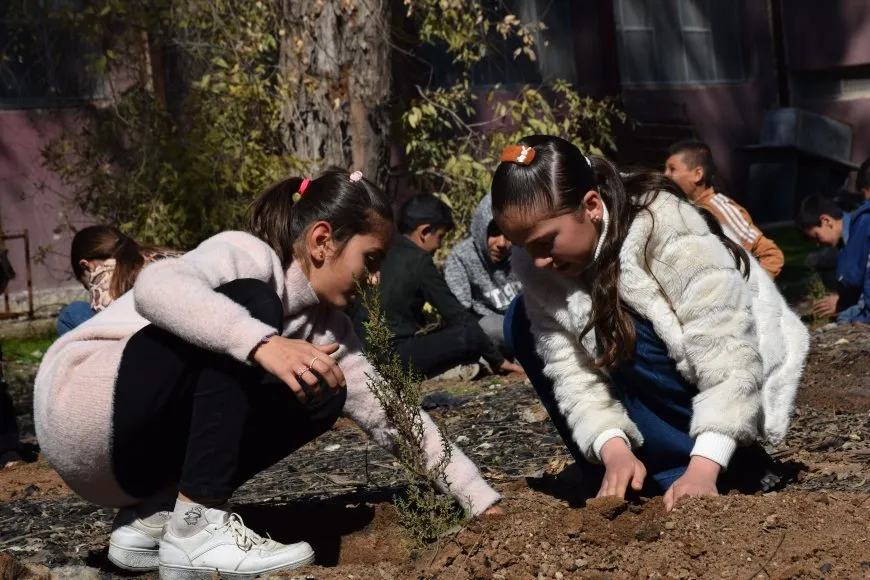 Li dibistanên Tirbespiyê çandina daran